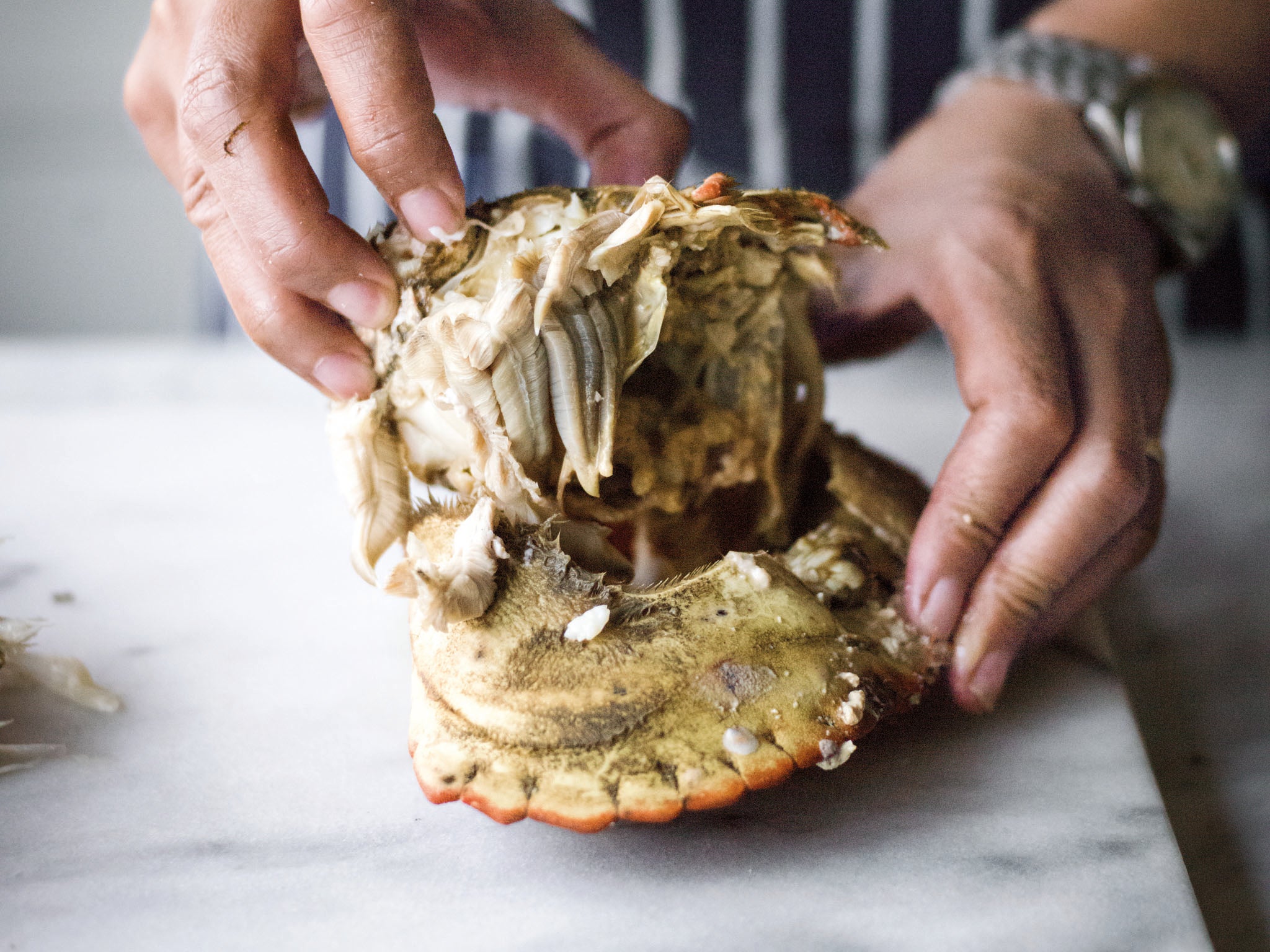 2. Use the palm of your hand to push down on the crab. Pull the broken shell and insides away – it will come off in one piece. Pull away the dead man’s fingers (i.e. the feathery gills) found inside the shell and around the body