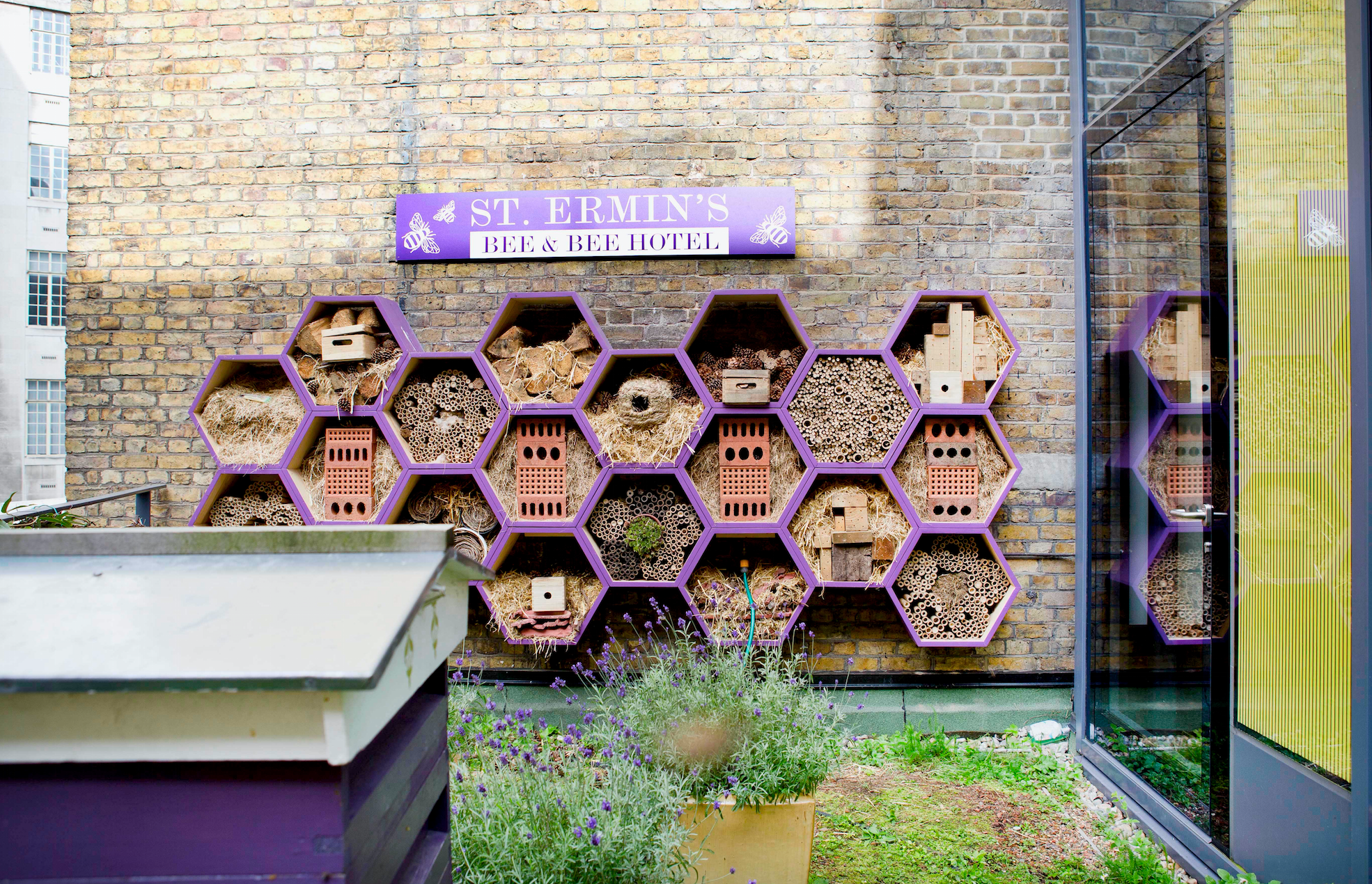 London's first bee and bee hotel