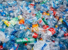 Pupils who bring plastic bottles to school could face punishments