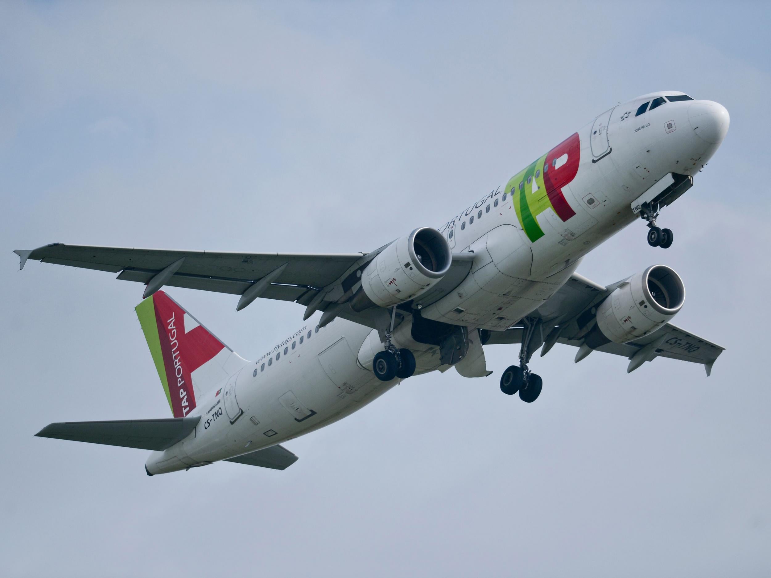 TAP Air Portugal has stated it will take 'the necessary and consequent measures' to deal with its co-pilot
