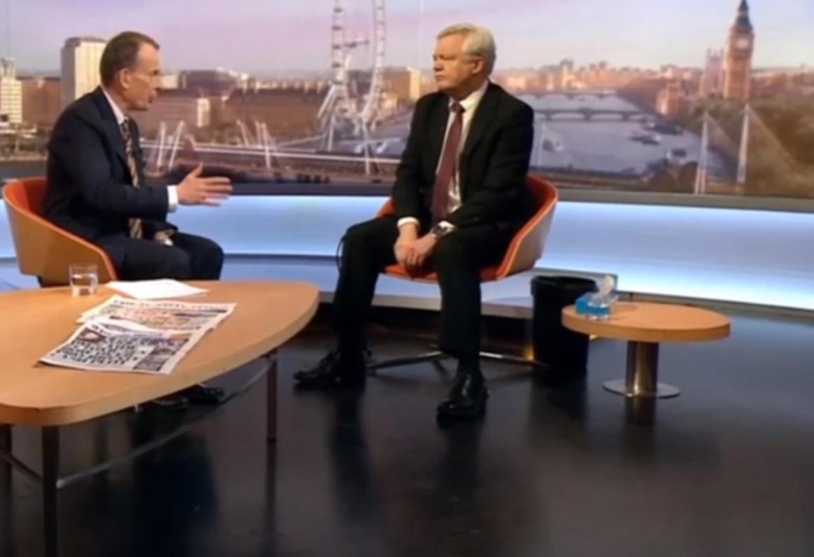 David Davis appeared on the Andrew Marr Show next to a sick bucket