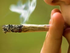 Smoking cannabis just once can change a teenager’s brain