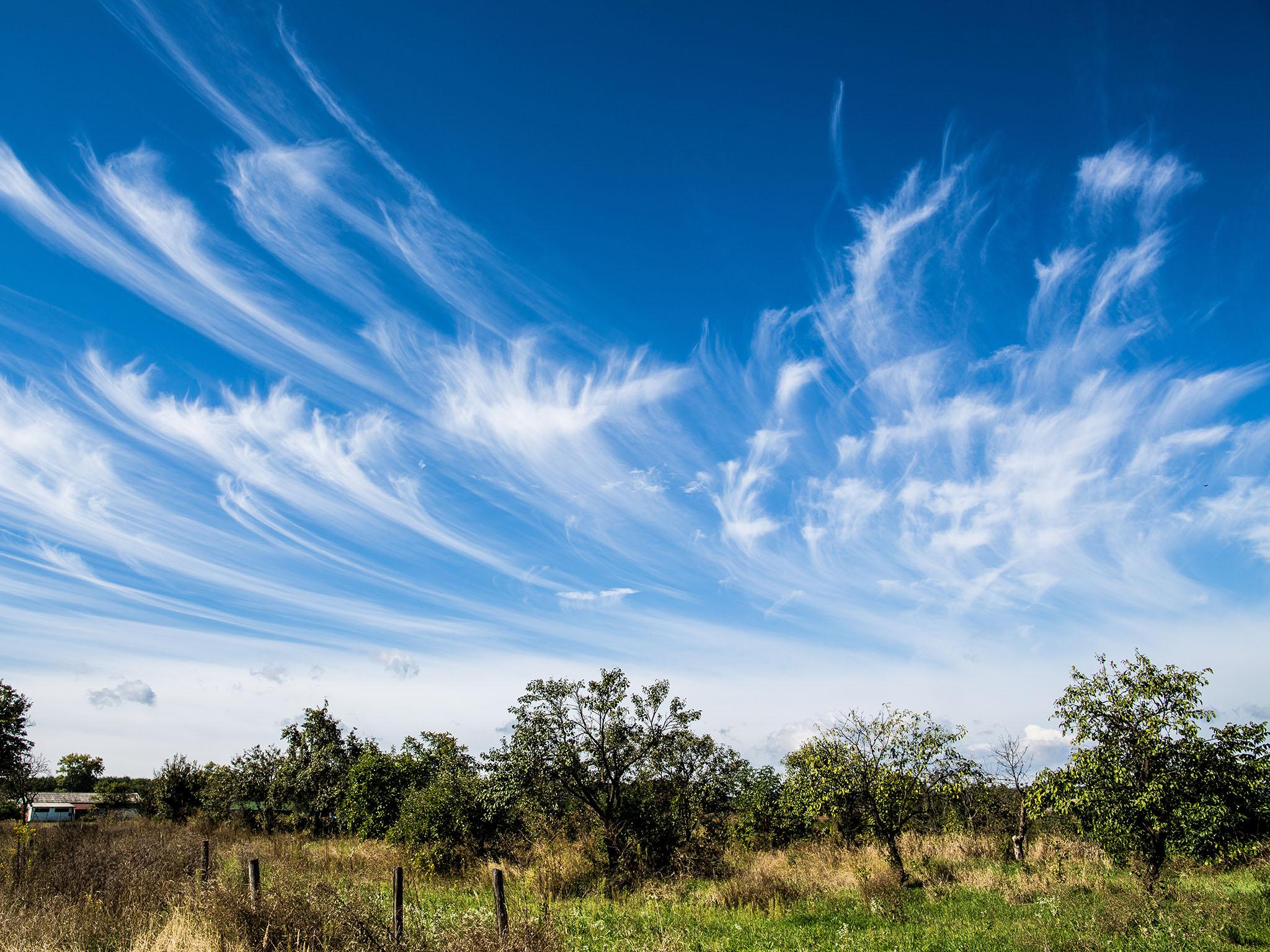 &#13;
Cirrus heralds a warm front – and rain &#13;