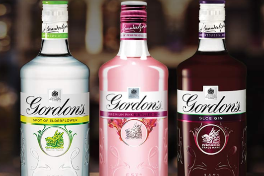 Testers are required to try three new gin flavours (Gordon's)