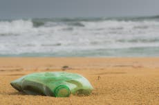As marine plastic litter mounts, what's the evidence on harm?