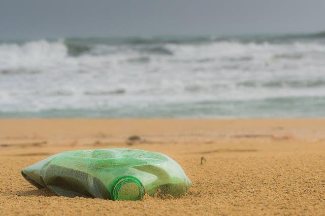 Unlike many other human pollutants in the environment, plastic debris is very visible