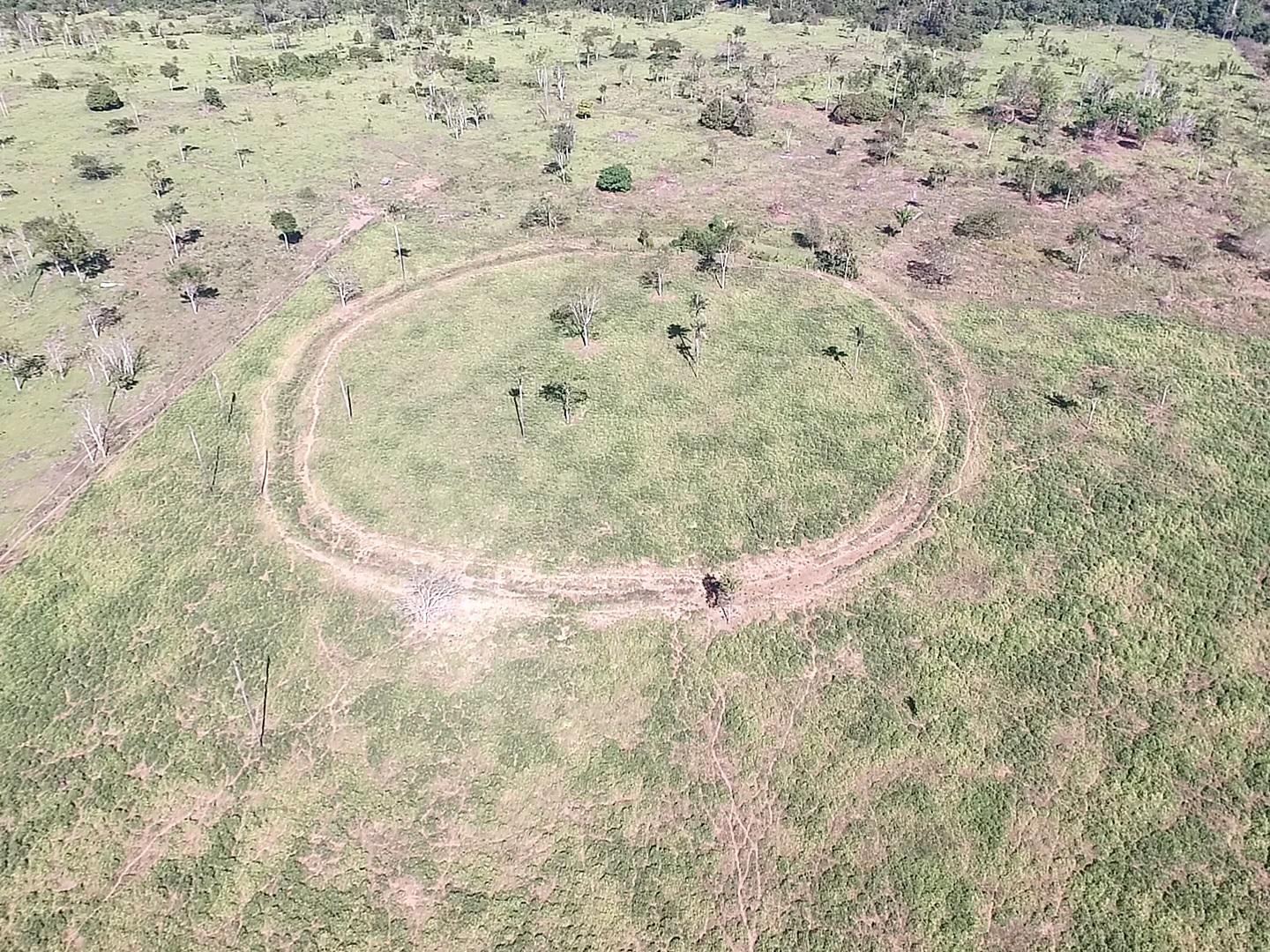 Aerial photo of archaeological site Mt05, a circular enclosure located in the Amazon rainforest containing evidence of pre-Columbian societies living there