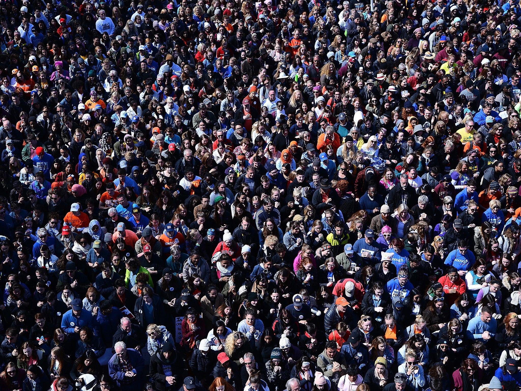 Crowds and celebrities attend the March for Our Lives Rally in Washington DC this month