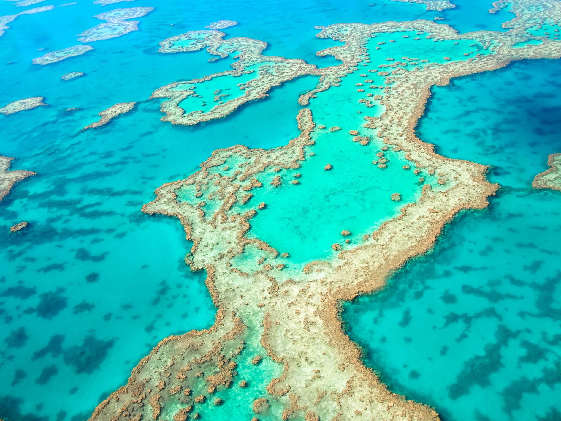 Areas of the Great Barrier Reef could be protected from rises in temperatures using a 'sun shield'