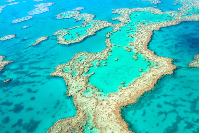 Areas of the Great Barrier Reef could be protected from rises in temperatures using a 'sun shield'