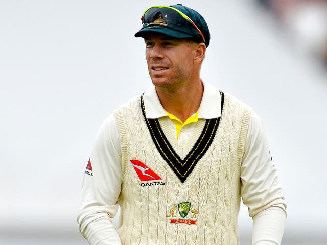 David Warner has been dropped by sponsors LG and resigned as captain of IPL side Sunrisers Hyderabad