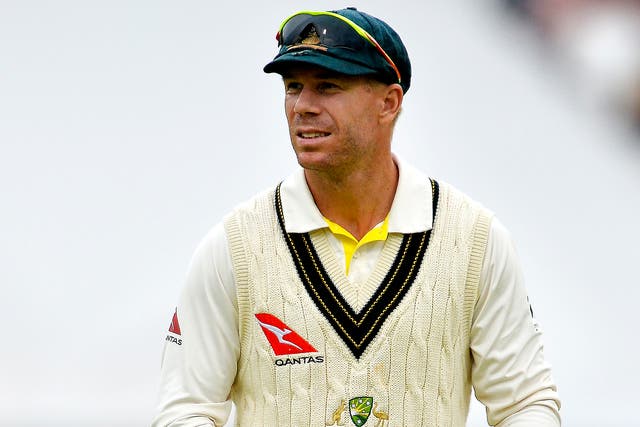 David Warner has been dropped by sponsors LG and resigned as captain of IPL side Sunrisers Hyderabad