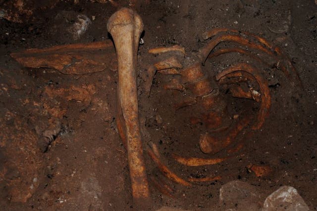 Stone Age burial remains from Taforalt Cave