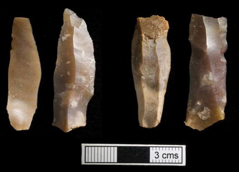 Iberomaurusian microlithic tools recovered from Taforalt cave