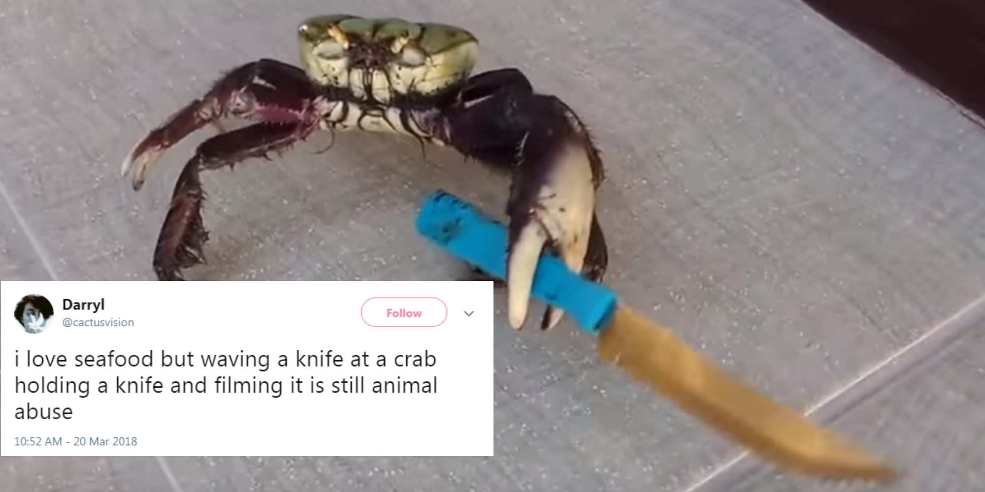 The true story behind the viral knife crab is actually disturbing | indy100