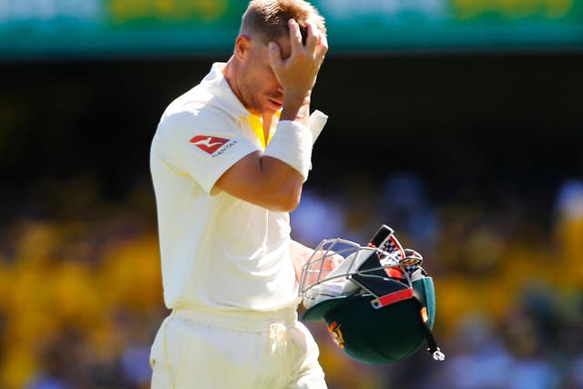 David Warner has apologised for panning the Australia cheat scandal by getting Cameron Bancroft to ball-tamper