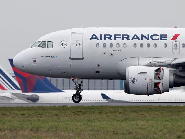 An Air France Airbus A318 airplane lands at the Charles-de-Gaulle airport in Roissy near Paris