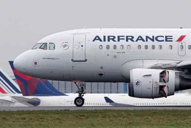 An Air France Airbus A318 airplane lands at the Charles-de-Gaulle airport in Roissy near Paris