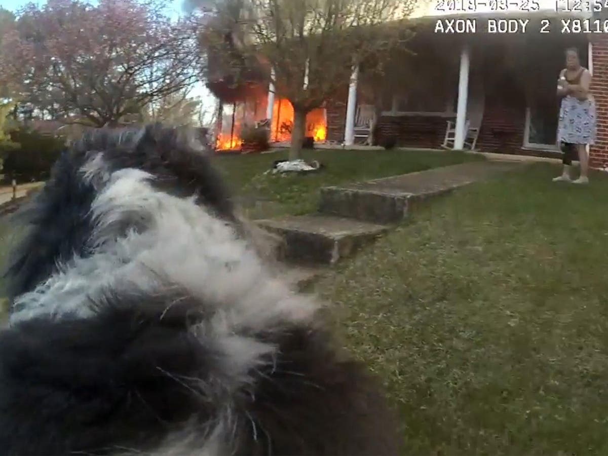 Bodycam footage shows police officer rescuing dog from house fire | The ...