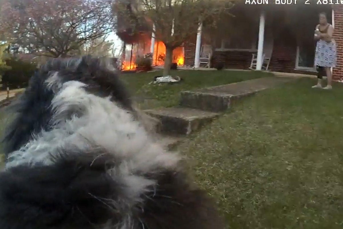 Bodycam footage shows police officer rescuing dog from house fire | The ...
