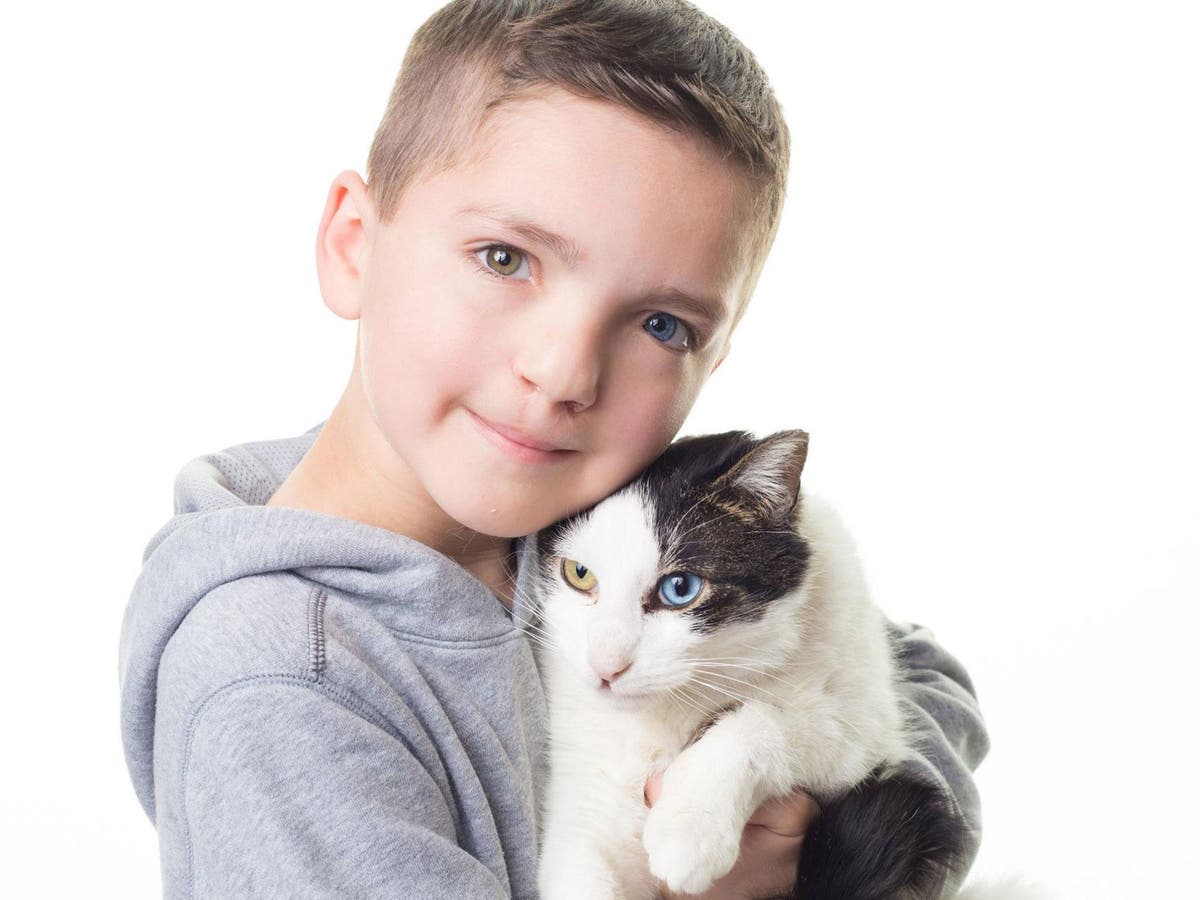 Bullied 7-year-old adopts cat with same rare eye condition and cleft ...