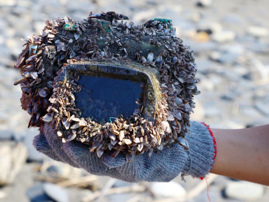 A handout photo made available by teacher Park Lee on 29 March 2018 shows a barnacle-covered camera in a water-proof case washed up on a beach in Ilan County, northeast Taiwan