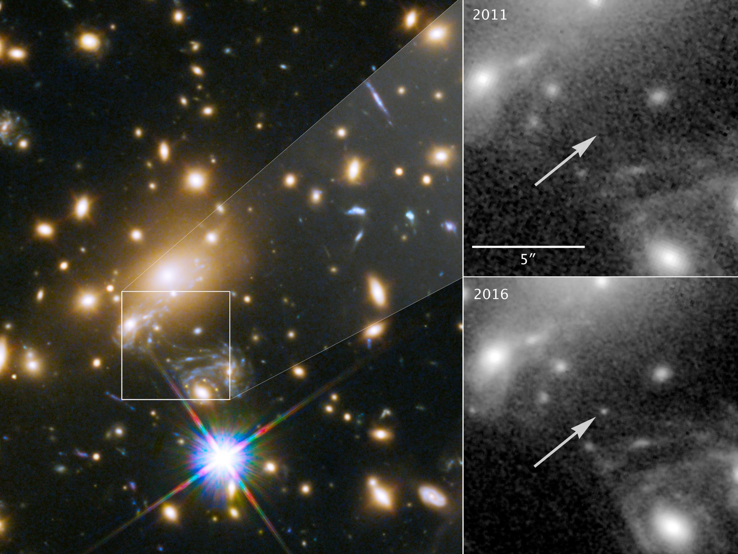 While monitoring a supernova, a team of astronomers noticed a point of light emerging, which they later realised was the most distant individual star ever identified