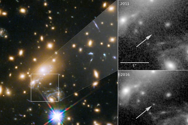 While monitoring a supernova, a team of astronomers noticed a point of light emerging, which they later realised was the most distant individual star ever identified