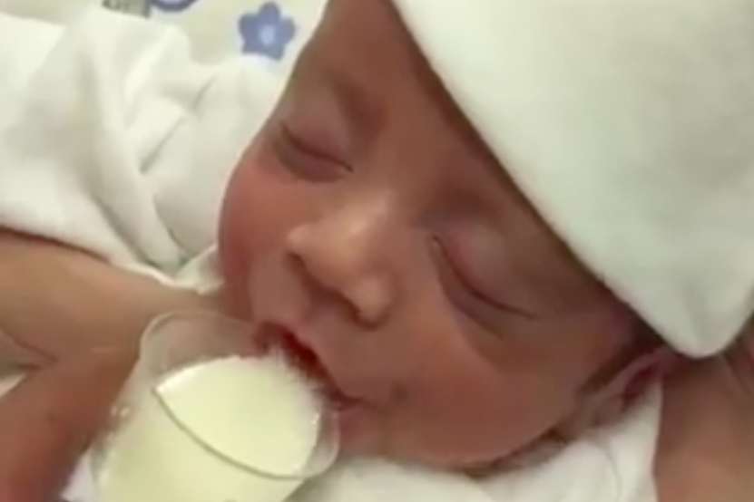 cup feeding newborn