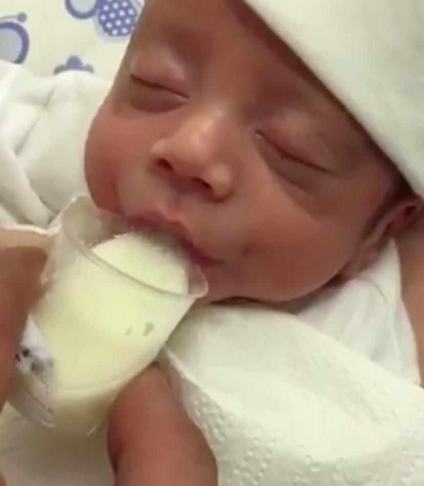 cup feeding newborn