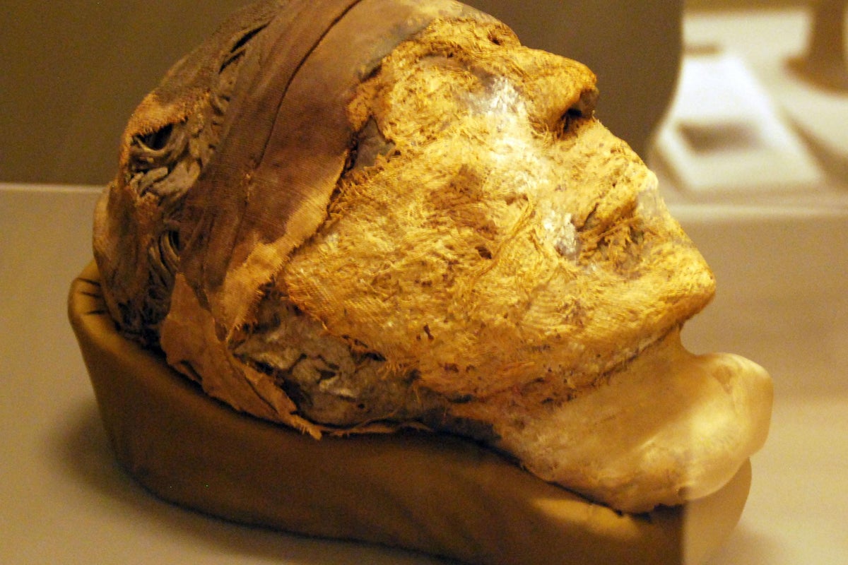 Tomb secrets: The FBI cracks the DNA code on an ancient Egyptian mummy | The Independent | The Independent