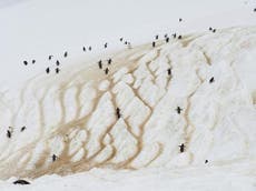 Journey to Antarctica: Penguins, seals and glacial beauty