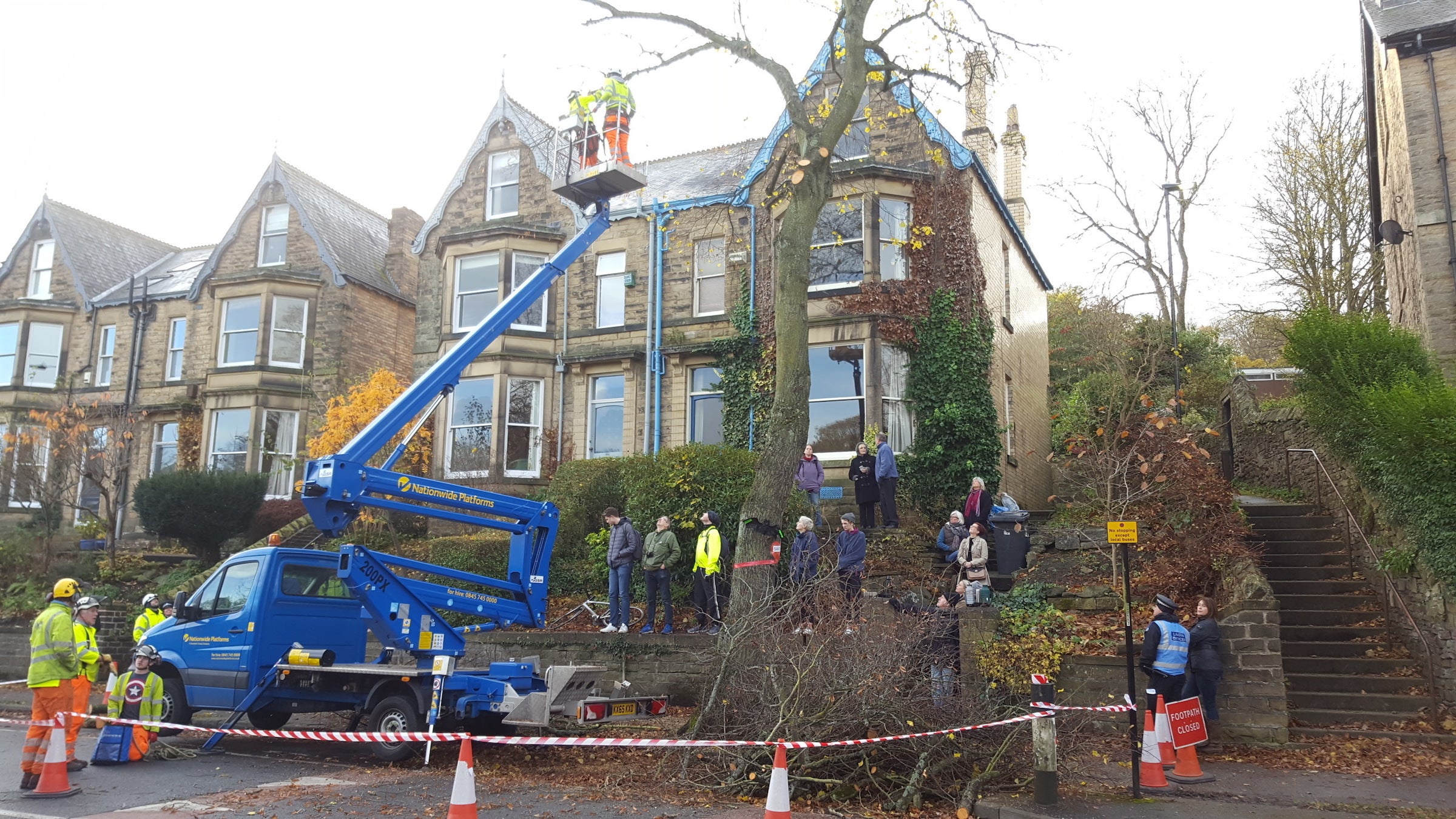 Contractors cut down the final tree in Rustlings Road