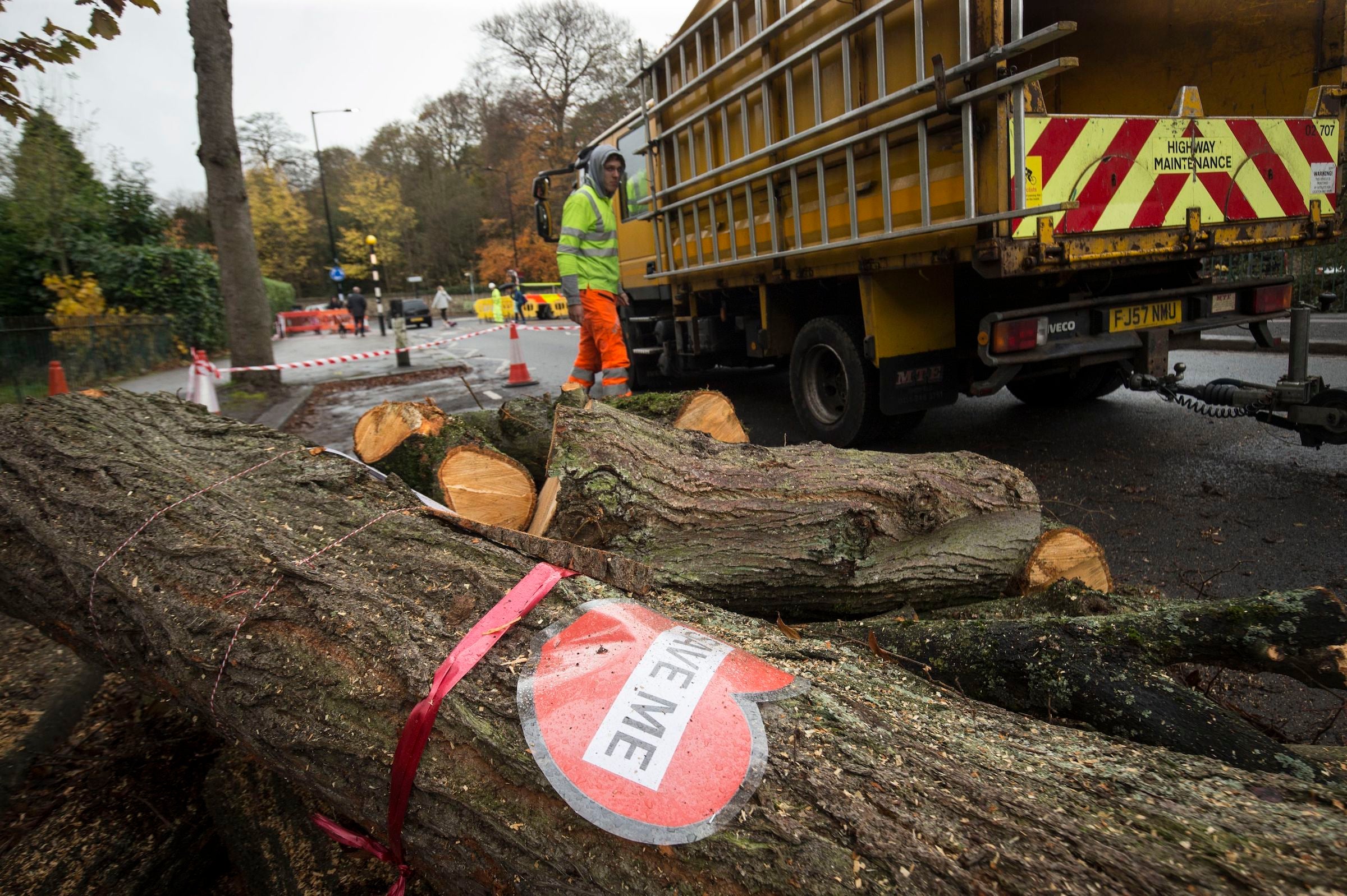 Sheffield’s Labour council had agreed for 17,500 street trees to be axed as part of a highways improvement scheme