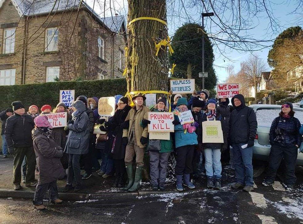 Protesters have staged campaigns to save 17,500 of Sheffield's street trees 