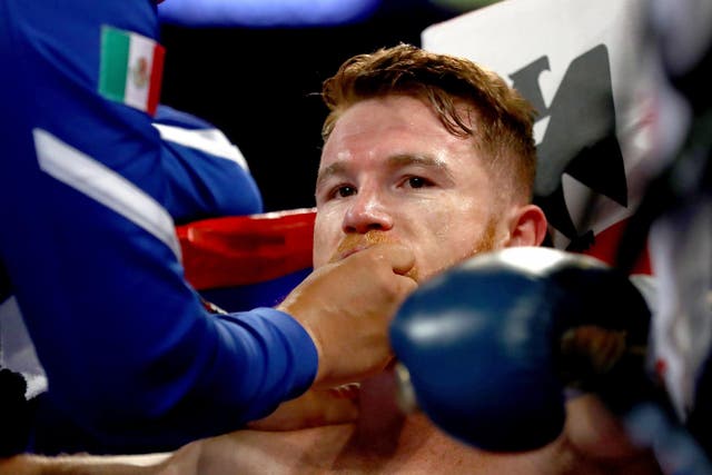Canelo has announced that the rematch has been cancelled