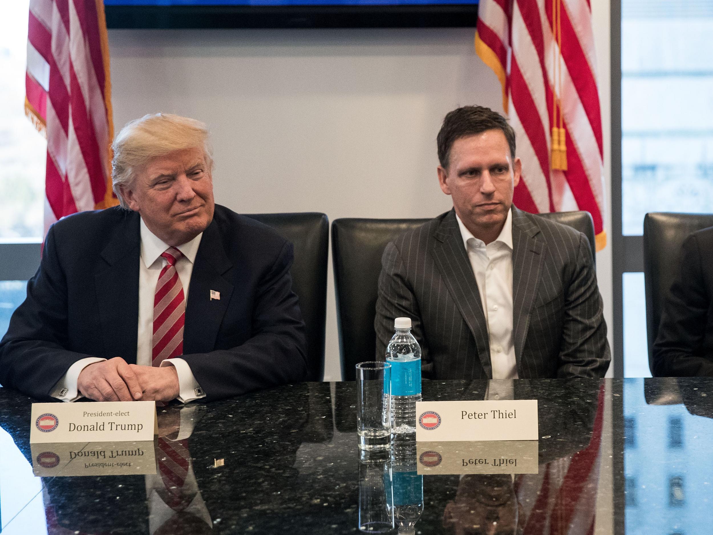 Thiel (pictured with Donald Trump in 2016) is contemptuous of disconnected elites who he believes are turning people against capitalism