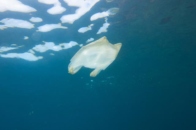 A discarded plastic bag floats at the surface of the sea