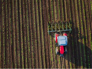 Microplastics found in fertilisers being applied to gardens and
