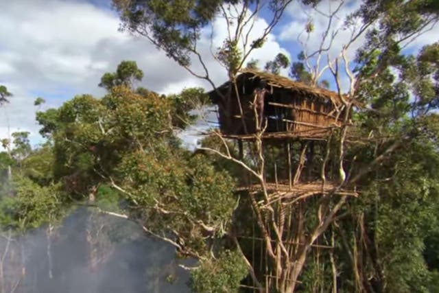 Human Planet depicted the Korowai people living in a 30-metre-high treehouse, but the scenes were faked