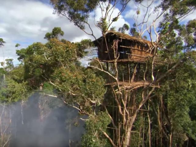 Human Planet depicted the Korowai people living in a 30-metre-high treehouse, but the scenes were faked
