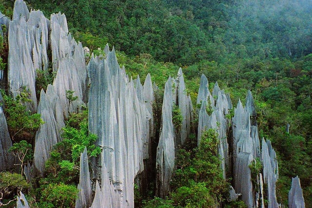 Gunung Mulu in Borneo is an example of an areas where limestone rock weathering would be expected to produce large amounts of nitrogen.