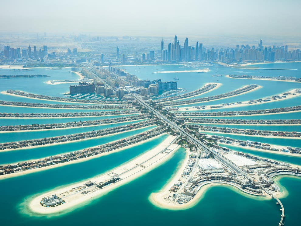 Future 'ocean cities' need green engineering above and below the ...