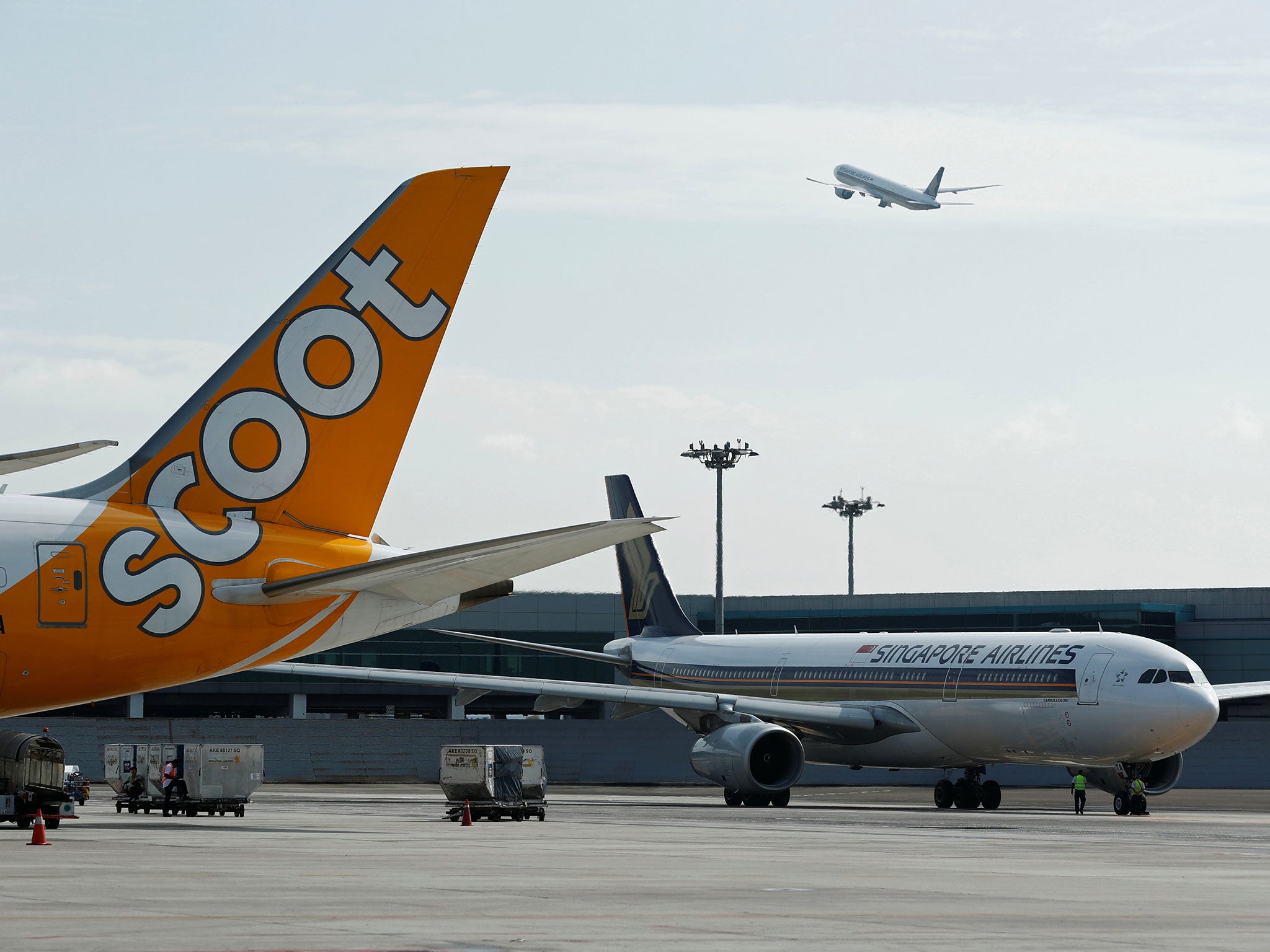 A Singapore Airlines plane takes off, above a Scoot plane and another Singapore Airlines plane on the tarmac, at Changi Airport