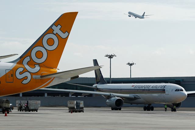 A Singapore Airlines plane takes off, above a Scoot plane and another Singapore Airlines plane on the tarmac, at Changi Airport