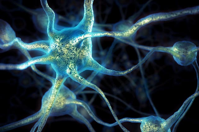 A computer-generated image of brain cells