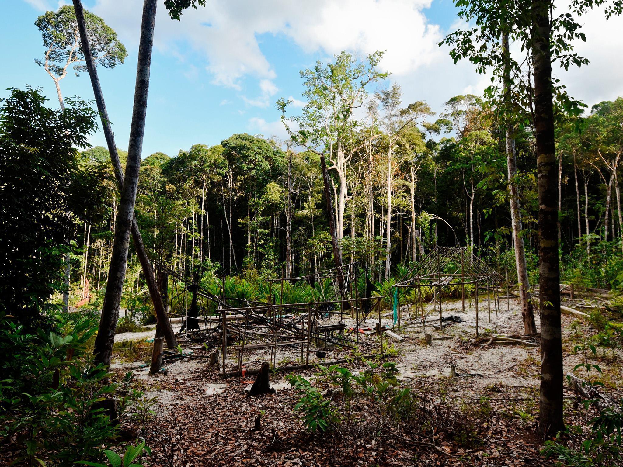 View of an illegal gold mine in the Amazon rainforest in Colombia