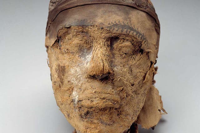 The mummified head of Djehutynakht is all that remains after the body was destroyed by tomb robbers