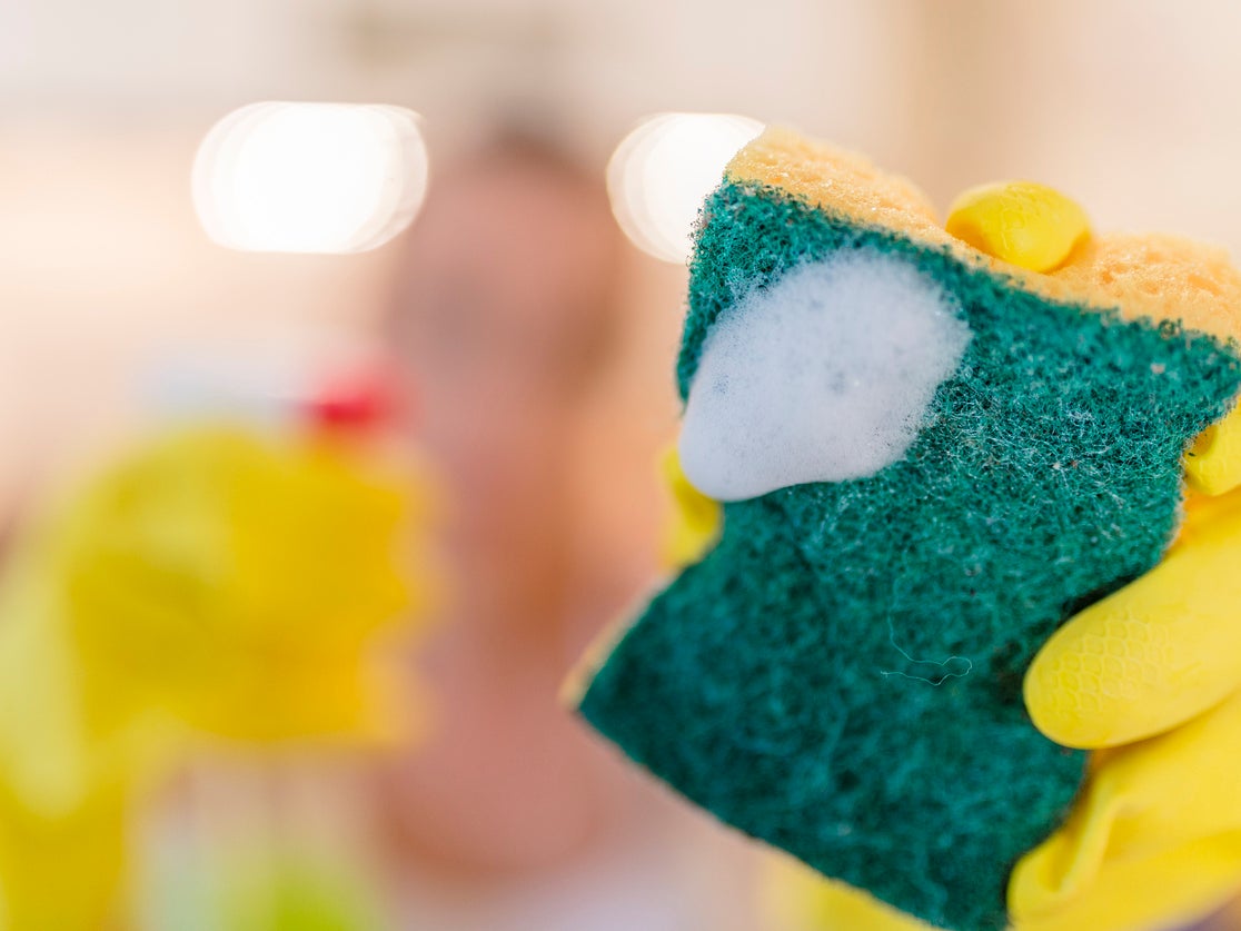 Cleaning sponges should be thrown away every week