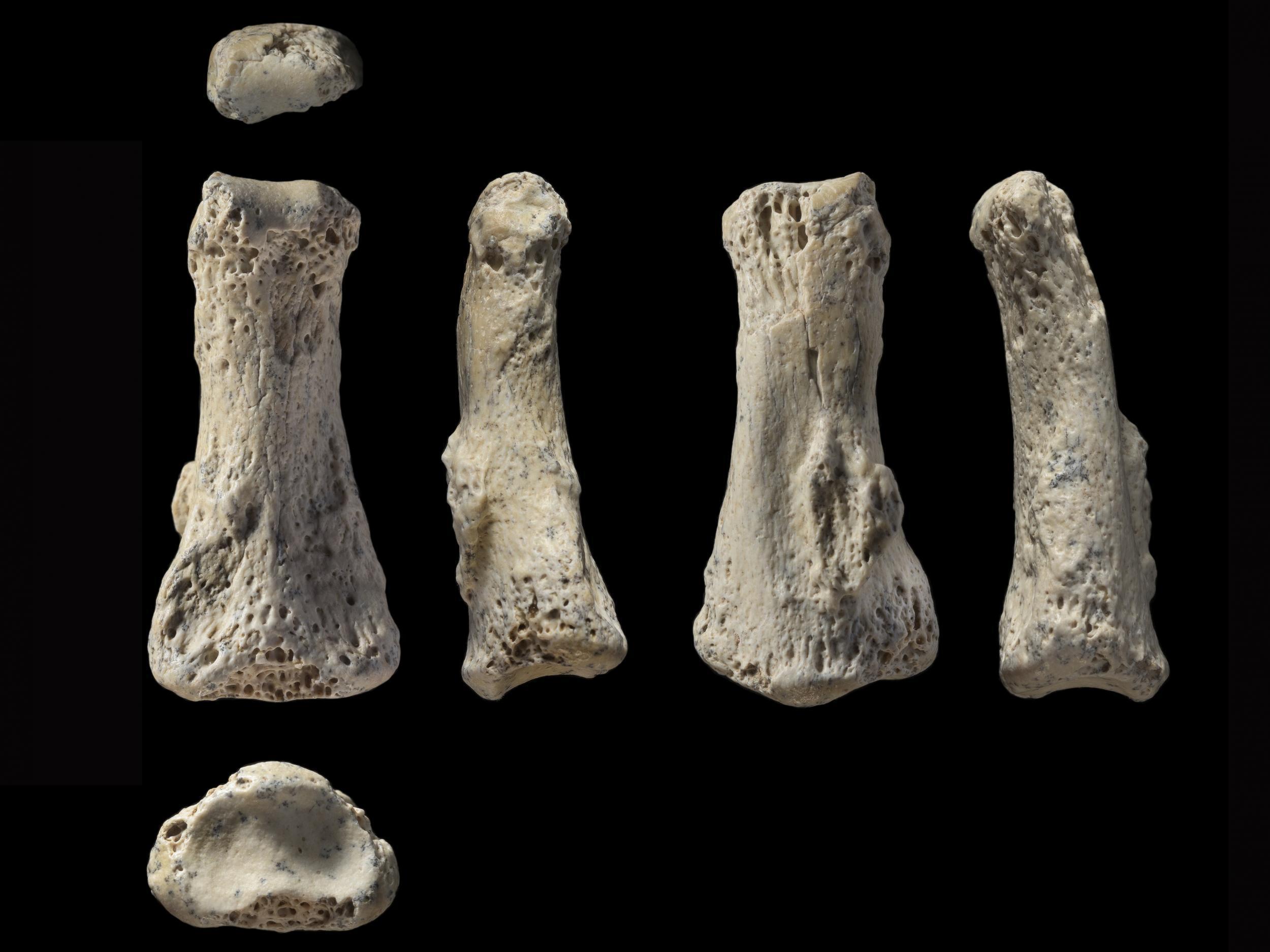 The finger bone is the oldest confirmed Homo sapiens fossil outside of Africa and the Levant